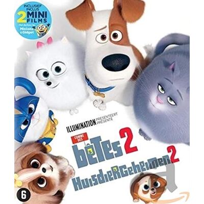 Universal Pictures BENELUX Geheim leven van huisdieren 2 Universal Pictures BENELUX Geheim leven van huisdieren 2