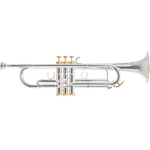 Gewa Roy Benson Charli Green Signature-Model Trompet in Si (Premium Silver Sound Pearl, met gouden accenten, luxe rechthoekig etui inbegrepen, met rugzakgarnituur) Gewa Roy Benson Charli Green Signature-Model Trompet in Si (Premium Silver Sound Pearl, met gouden accenten, luxe rechthoekig etui inbegrepen, met rugzakgarnituur)