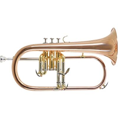 Roy Benson Bb bugle FH-302G (met 11mm MS boor, gouden messing flap, roestvrijstalen ventielen, lichtgewicht rechthoekige koffer inbegrepen, met rugzakfunctie, maat: 6"), gelakt Roy Benson Bb bugle FH-302G (met 11mm MS boor, gouden messing flap, roestvrijstalen ventielen, lichtgewicht rechthoekige koffer inbegrepen, met rugzakfunctie, maat: 6"), gelakt