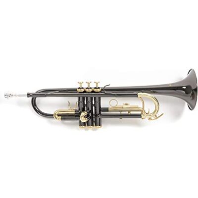 Roy Benson Trompet Sib TR-101K (boor ML, zuigers van roestvrij staal, goudkleurig messing, elegant design, in lichte rechthoekige etui, met rugzakfunctie), antraciet Roy Benson Trompet Sib TR-101K (boor ML, zuigers van roestvrij staal, goudkleurig messing, elegant design, in lichte rechthoekige etui, met rugzakfunctie), antraciet