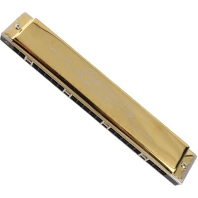 RiToEasysports 24 gaten diatonische mondharmonica met etui voor volwassenen, studenten, beginners (gouden D-sleutel) blaasinstrument spelen muziekinstrumenten RiToEasysports 24 gaten diatonische mondharmonica met etui voor volwassenen, studenten, beginners (gouden D-sleutel) blaasinstrument spelen muziekinstrumenten