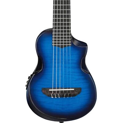 Ibanez AUP10FMNETBO Ibanez AUP10FMNETBO
