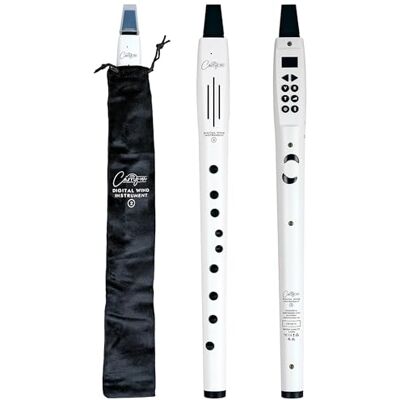 Carry-on Digitaal blaasinstrument, 2-10 stemmen, geïntegreerde USB-oplaadbare batterij, hoofdtelefoonuitgang voor stille praktijk, Midi Over Bluetooth digitale recorder, wit Carry-on Digitaal blaasinstrument, 2-10 stemmen, geïntegreerde USB-oplaadbare batterij, hoofdtelefoonuitgang voor stille praktijk, Midi Over Bluetooth digitale recorder, wit