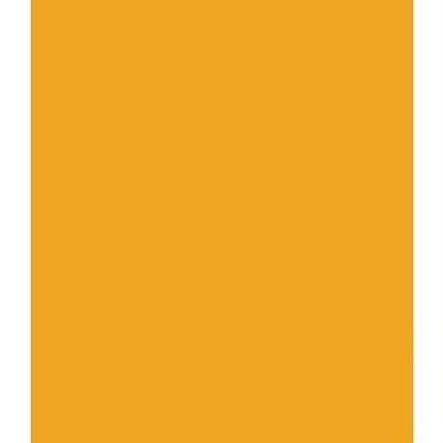 ARK 10 x A4 gekleurd karton 240 g/m² (goudgeel) ARK 10 x A4 gekleurd karton 240 g/m² (goudgeel)