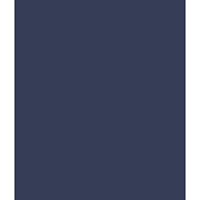 ARK 10 x A4 gekleurd karton 240 g/m² (marineblauw) ARK 10 x A4 gekleurd karton 240 g/m² (marineblauw)