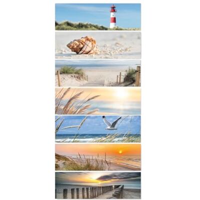 Timr Tr392 Bureaukalender, reservemagneten, 7 stuks, magnetisch, strand, duinen, zee, vakantie, cadeau-idee, tr392 Timr Tr392 Bureaukalender, reservemagneten, 7 stuks, magnetisch, strand, duinen, zee, vakantie, cadeau-idee, tr392