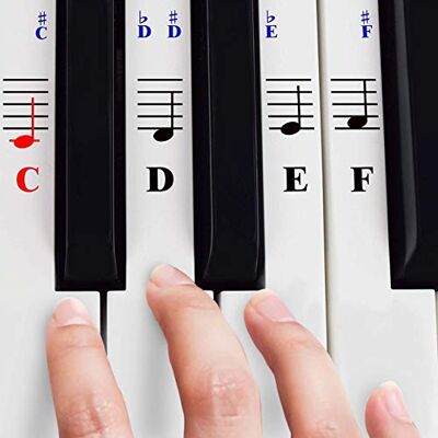 QMG Pianostickers voor toetsenbordtoetsen 49/61/76/88 – transparant en afneembaar QMG Pianostickers voor toetsenbordtoetsen 49/61/76/88 – transparant en afneembaar