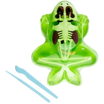 Simba Scout Dissect-It Ontleden kikker 16 cm skelet en organen om in elkaar te zetten, navulset, gereedschap vanaf 5 jaar Simba Scout Dissect-It Ontleden kikker 16 cm skelet en organen om in elkaar te zetten, navulset, gereedschap vanaf 5 jaar