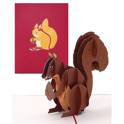 Cologne Cards Pop-upkaart "eekhoornje" grappige 3D-verjaardagskaart; uitnodigingskaart en kerstkaart met envelop als tegoedbonn, cadeautje, cadeau-idee en decoratie Cologne Cards Pop-upkaart "eekhoornje" grappige 3D-verjaardagskaart; uitnodigingskaart en kerstkaart met envelop als tegoedbonn, cadeautje, cadeau-idee en decoratie