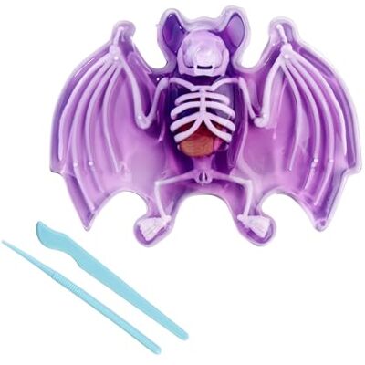 Simba Scout Dissect-It navulset voor vleermuis dissectie, 14 cm, skelet en organen om te monteren, gereedschap vanaf 5 jaar Simba Scout Dissect-It navulset voor vleermuis dissectie, 14 cm, skelet en organen om te monteren, gereedschap vanaf 5 jaar