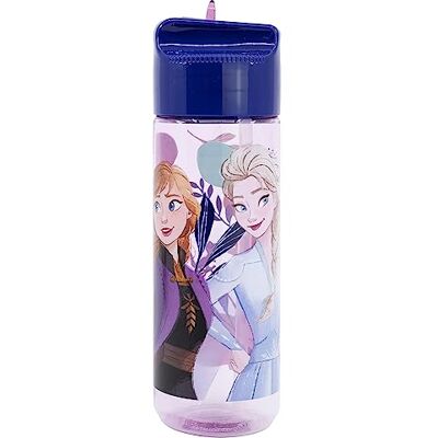 Stor ECOZEN HIDRO WATERFLES VOOR KINDEREN 540 ML FROZEN TRUST THE JOURNEY Stor ECOZEN HIDRO WATERFLES VOOR KINDEREN 540 ML FROZEN TRUST THE JOURNEY