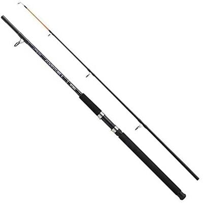Mitchell Adventure II Vishengel, zeehengel, boot, hengel van duurzaam composietglas, zoutwaterbestendig, uniseks, zwart/paars, 2,1 m, 100-250 g Mitchell Adventure II Vishengel, zeehengel, boot, hengel van duurzaam composietglas, zoutwaterbestendig, uniseks, zwart/paars, 2,1 m, 100-250 g