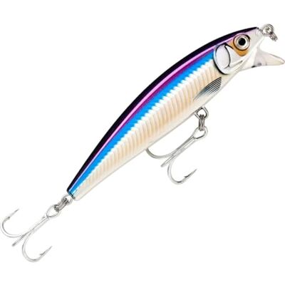 Rapala X-Rap Magnum Cast kunstaas met haken, twee nr. 2, 1,2 1,5 m, drijfdiepte, 10 cm, grootte anchovy Rapala X-Rap Magnum Cast kunstaas met haken, twee nr. 2, 1,2 1,5 m, drijfdiepte, 10 cm, grootte anchovy