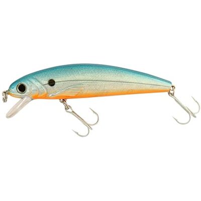 Abu Tormentor Drijvend Kunstaas Verkrijgbaar in meerdere maten, ideaal voor forel, baars, snoek, snoekbaars, baars en zalm, verleidelijke actie, Verkrijgbaar 7 cm & 9 cm Abu Tormentor Drijvend Kunstaas Verkrijgbaar in meerdere maten, ideaal voor forel, baars, snoek, snoekbaars, baars en zalm, verleidelijke actie, Verkrijgbaar 7 cm & 9 cm