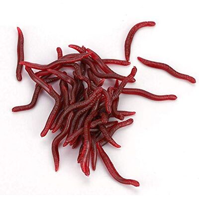 Alomejor Vissen kunstaas, 4 cm, zachte silicagel, kunstmatig visaas Lifelike Earthworm Grub Fishing Lures Baits (50 stuks) Alomejor Vissen kunstaas, 4 cm, zachte silicagel, kunstmatig visaas Lifelike Earthworm Grub Fishing Lures Baits (50 stuks)