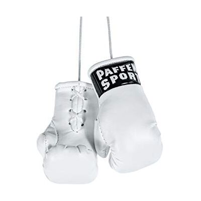 Paffen Sport "Colour" Mini Gants de Boxe, Remorque Voiture Paffen Sport "Colour" Mini Gants de Boxe, Remorque Voiture