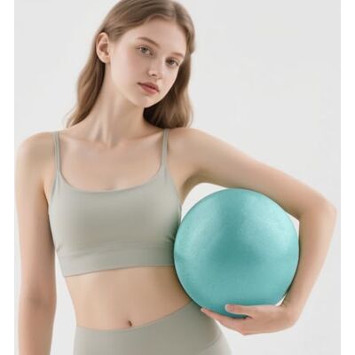 VELLUSTRA 2 stuks 25 cm Pilates bal Mini Pelota Pilates Balones Yoga, Blauw en Morado VELLUSTRA 2 stuks 25 cm Pilates bal Mini Pelota Pilates Balones Yoga, Blauw en Morado