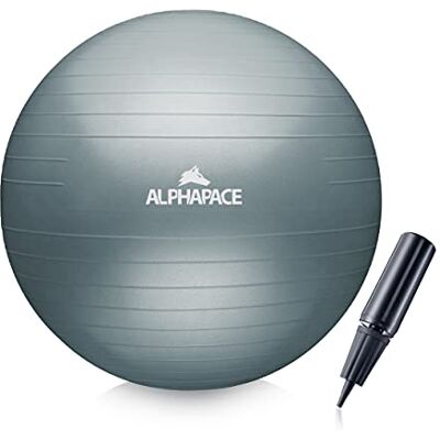 ALPHAPACE Dikke anti-burst gymnastiekbal met luchtpomp, bal voor fitness, yoga, gymnastiek, basistraining, voor sterke rug als bureaustoel ALPHAPACE Dikke anti-burst gymnastiekbal met luchtpomp, bal voor fitness, yoga, gymnastiek, basistraining, voor sterke rug als bureaustoel