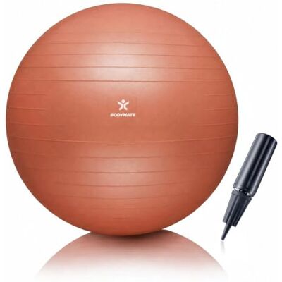 BODYMATE Fitnessbal + pomp + e-book – verschillende maten en kleuren BODYMATE Fitnessbal + pomp + e-book – verschillende maten en kleuren