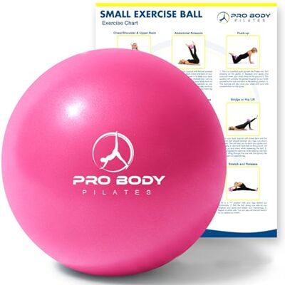 ProBody Pilates Kleine yogabal, 22,9 cm oefenbal met oefengids, mini-bal voor zachte therapie, stabiliteitsbal, oefenbal, basisbal voor stang ProBody Pilates Kleine yogabal, 22,9 cm oefenbal met oefengids, mini-bal voor zachte therapie, stabiliteitsbal, oefenbal, basisbal voor stang