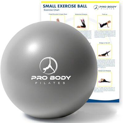 ProBody Pilates Mini-oefenbal 22,9 cm Bender Ball voor stabiliteit, stang, pilates, yoga, basistraining en fysiotherapie ProBody Pilates Mini-oefenbal 22,9 cm Bender Ball voor stabiliteit, stang, pilates, yoga, basistraining en fysiotherapie