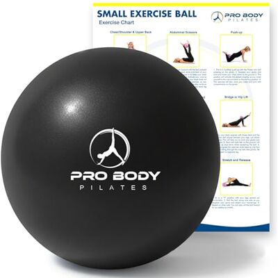 ProBody Pilates Kleine oefenbal, 22,9 cm, zachte mini-yogabal voor stabiliteit, stang, fitness, buikspieren, fysiotherapie en fysiotherapie thuis, in de sportschool en op kantoor ProBody Pilates Kleine oefenbal, 22,9 cm, zachte mini-yogabal voor stabiliteit, stang, fitness, buikspieren, fysiotherapie en fysiotherapie thuis, in de sportschool en op kantoor