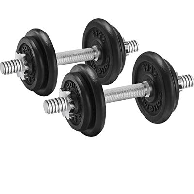 SONGMICS Set van 2 gietijzeren halters, verstelbaar gewicht, stalen stang, fitness, krachttraining, thuis SONGMICS Set van 2 gietijzeren halters, verstelbaar gewicht, stalen stang, fitness, krachttraining, thuis