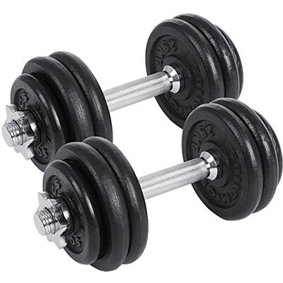 SONGMICS Set van 2 gietijzeren halters, verstelbaar gewicht, stalen stang, fitness, krachttraining, thuis SONGMICS Set van 2 gietijzeren halters, verstelbaar gewicht, stalen stang, fitness, krachttraining, thuis