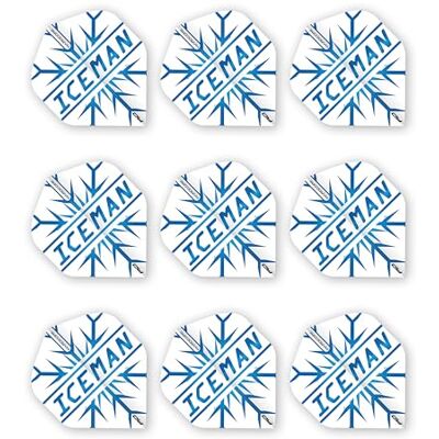 Dragon Gerwyn Price Hardcore Extra Dikke Standaard Dart Flights 3 spellen per pakket (9 vluchten in totaal) Dragon Gerwyn Price Hardcore Extra Dikke Standaard Dart Flights 3 spellen per pakket (9 vluchten in totaal)