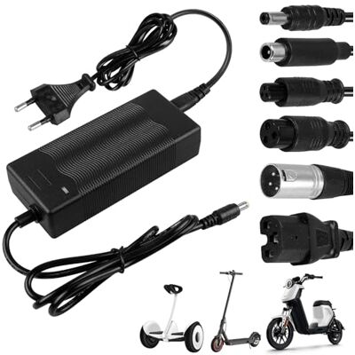 BORDEAG Oplader voor elektrische step, 42 V, 2 A, met 6 aansluitingen voor accu 36 V, compatibel met elektrische scooter, hoverboard, eenwieler, driftboard, Xiaomi M365 Pro 2 BORDEAG Oplader voor elektrische step, 42 V, 2 A, met 6 aansluitingen voor accu 36 V, compatibel met elektrische scooter, hoverboard, eenwieler, driftboard, Xiaomi M365 Pro 2