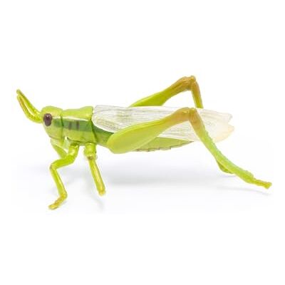 Papo Sprinkhaan La Vie Sauvage figuur, 50268, meerkleurig Papo Sprinkhaan La Vie Sauvage figuur, 50268, meerkleurig