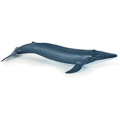 Papo Blauwe babywalvis, maritieme wereld, dierenfiguur, 56041,meerkleurig Papo Blauwe babywalvis, maritieme wereld, dierenfiguur, 56041,meerkleurig
