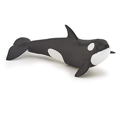 Papo – figuren om te verzamelen – baby-orka – zeedieren – maritieme wereld – kinderen – meisjes en jongens – vanaf 3 jaar Papo – figuren om te verzamelen – baby-orka – zeedieren – maritieme wereld – kinderen – meisjes en jongens – vanaf 3 jaar