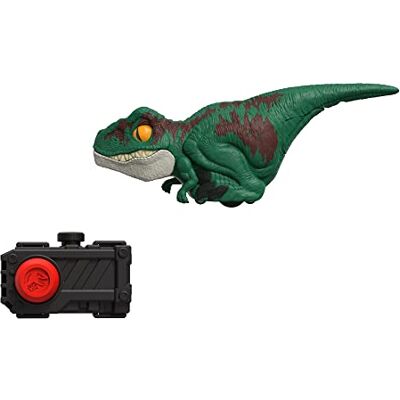 Mattel Jurassic World GYN41 gestileerd figuur van Velociraptor groen met controleclicker om te bewegen en geluiden uit te zenden, om te verzamelen, speelgoed voor kinderen, vanaf 4 jaar, GYN41 Mattel Jurassic World GYN41 gestileerd figuur van Velociraptor groen met controleclicker om te bewegen en geluiden uit te zenden, om te verzamelen, speelgoed voor kinderen, vanaf 4 jaar, GYN41
