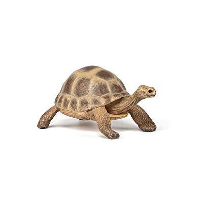 Papo Handbeschilderde figuren, wilde dieren van de wereldschildpad Hermann, 50264, om te verzamelen, voor kinderen, geschikt voor jongens en meisjes, vanaf 3 jaar Papo Handbeschilderde figuren, wilde dieren van de wereldschildpad Hermann, 50264, om te verzamelen, voor kinderen, geschikt voor jongens en meisjes, vanaf 3 jaar
