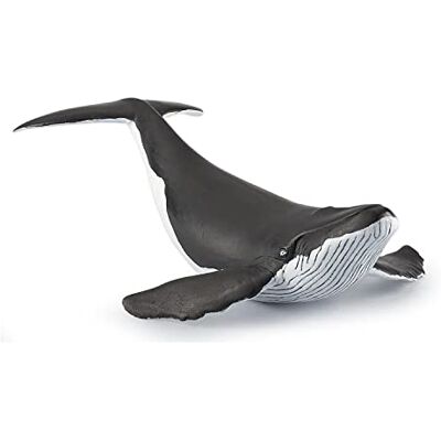 Papo -Handgeschilderde Figuurtjes Zeeleven -Walvis Kalf-56035-Verzamelbaar-Voor kinderen Geschikt voor jongens en meisjes Vanaf 3 jaar Papo -Handgeschilderde Figuurtjes Zeeleven -Walvis Kalf-56035-Verzamelbaar-Voor kinderen Geschikt voor jongens en meisjes Vanaf 3 jaar