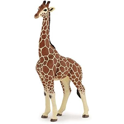 Papo Mannelijke giraf LA Life Wilde Dieren Figuur, 50149 Papo Mannelijke giraf LA Life Wilde Dieren Figuur, 50149