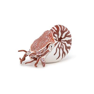 Papo Verzamelfiguren Nautile 56061 zeedieren voor kinderen meisjes en jongens vanaf 3 jaar Papo Verzamelfiguren Nautile 56061 zeedieren voor kinderen meisjes en jongens vanaf 3 jaar