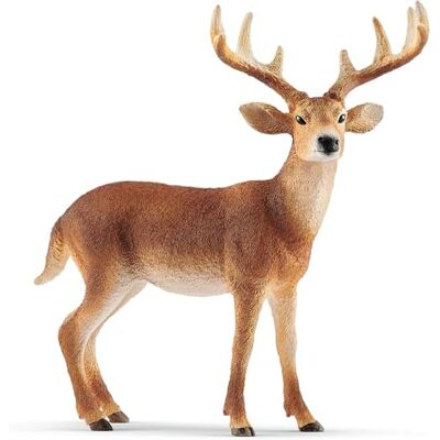 Schleich Wild Life Virginia hert 14818 vanaf 3 jaar 11 x 5 x 10 cm Schleich Wild Life Virginia hert 14818 vanaf 3 jaar 11 x 5 x 10 cm