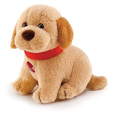 Trudi Sweet Coll. 51025 pluche kleine labrador ca. 9 cm (maat XXS), hoogwaardige stof met zachte materialen, pluche dier met liefdevolle details, wasbaar, knuffeldier voor kinderen, beige Trudi Sweet Coll. 51025 pluche kleine labrador ca. 9 cm (maat XXS), hoogwaardige stof met zachte materialen, pluche dier met liefdevolle details, wasbaar, knuffeldier voor kinderen, beige