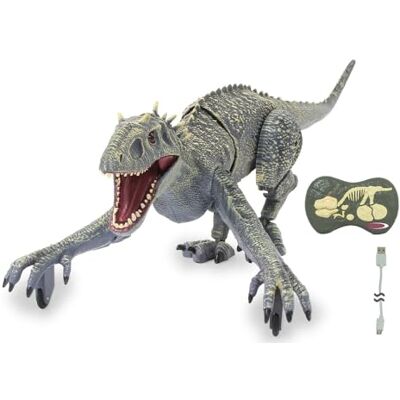 Jamara 410180 Dinosaurus Exoraptor Li-Ion 3,7 V 2,4 GHz voorvoet op 2 rollen, bewegende onderdelen, realistisch brullen van RC dinosaurus RC, RC op afstand bestuurbaar grijs Jamara 410180 Dinosaurus Exoraptor Li-Ion 3,7 V 2,4 GHz voorvoet op 2 rollen, bewegende onderdelen, realistisch brullen van RC dinosaurus RC, RC op afstand bestuurbaar grijs