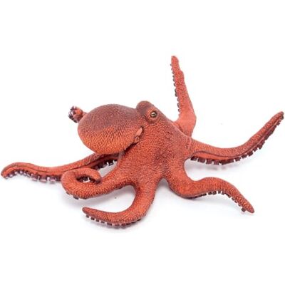 Papo Verzamelfiguren Kleine Octopus 56060 Zeedieren Voor kinderen Meisjes en jongens Vanaf 3 jaar Papo Verzamelfiguren Kleine Octopus 56060 Zeedieren Voor kinderen Meisjes en jongens Vanaf 3 jaar
