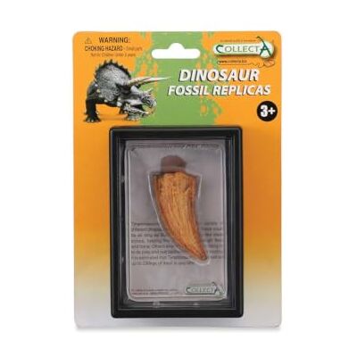 Collecta Side Tooth of Tyrannosaurus Rex Boxed Set Collecta Side Tooth of Tyrannosaurus Rex Boxed Set