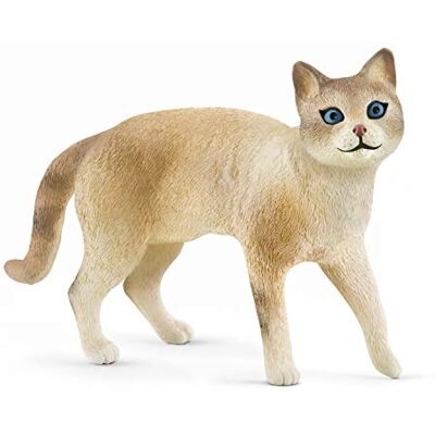 Schleich Figuur Europese kat Siamese Farm World, 13932, meerkleurig Schleich Figuur Europese kat Siamese Farm World, 13932, meerkleurig