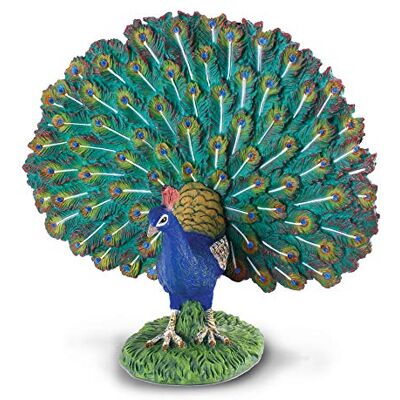 Collecta Peacock Collecta Peacock
