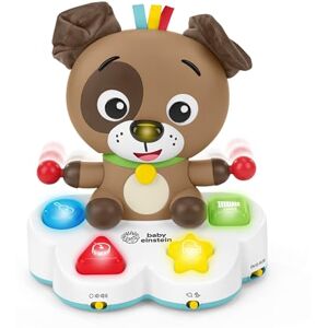 Bright Starts Baby Einstein 16830 Baby Box Toy, meerkleurig Bright Starts Baby Einstein 16830 Baby Box Toy, meerkleurig