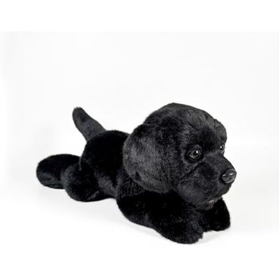 DQB DeQUBE FUNDACIÓN BOCALAN pluche dier Labrador zwart verlengd 25 cm + 0 maanden (DeQube 939D00286) DQB DeQUBE FUNDACIÓN BOCALAN pluche dier Labrador zwart verlengd 25 cm + 0 maanden (DeQube 939D00286)