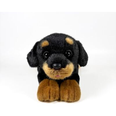 DQB DeQUBE FUNDACIÓN BOCALAN Rottweiler pluche dier liggend 25 cm vanaf 0 maanden (DeQube 939D00296) DQB DeQUBE FUNDACIÓN BOCALAN Rottweiler pluche dier liggend 25 cm vanaf 0 maanden (DeQube 939D00296)
