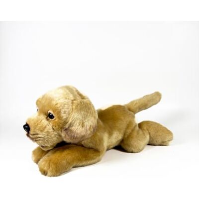 DQB DeQUBE FUNDACIÓN BOCALAN pluche dier Labrador kaneel liggend 25 cm + 0 maanden (DeQube 939D00285) DQB DeQUBE FUNDACIÓN BOCALAN pluche dier Labrador kaneel liggend 25 cm + 0 maanden (DeQube 939D00285)