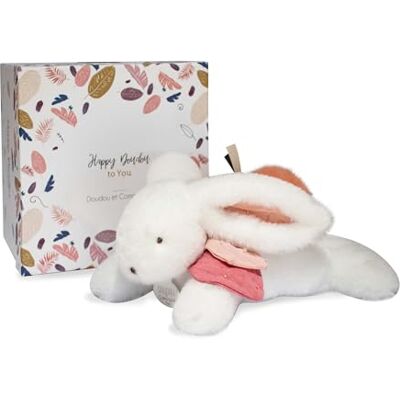 DOUDOU ET COMPAGNIE – PARIS – Doudou et Compagnie Pluche knuffeldier konijn Happy Bohon wit en terracotta zacht en schattig pluche dier collectie Happy Doudou To You cadeau-idee voor geboorte DC3736 DOUDOU ET COMPAGNIE – PARIS – Doudou et Compagnie Pluche knuffeldier konijn Happy Bohon wit en terracotta zacht en schattig pluche dier collectie Happy Doudou To You cadeau-idee voor geboorte DC3736